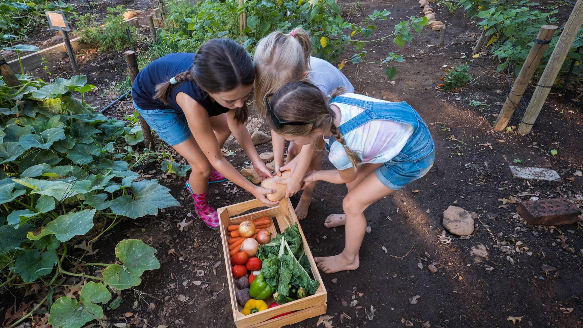 3 girls gardening
